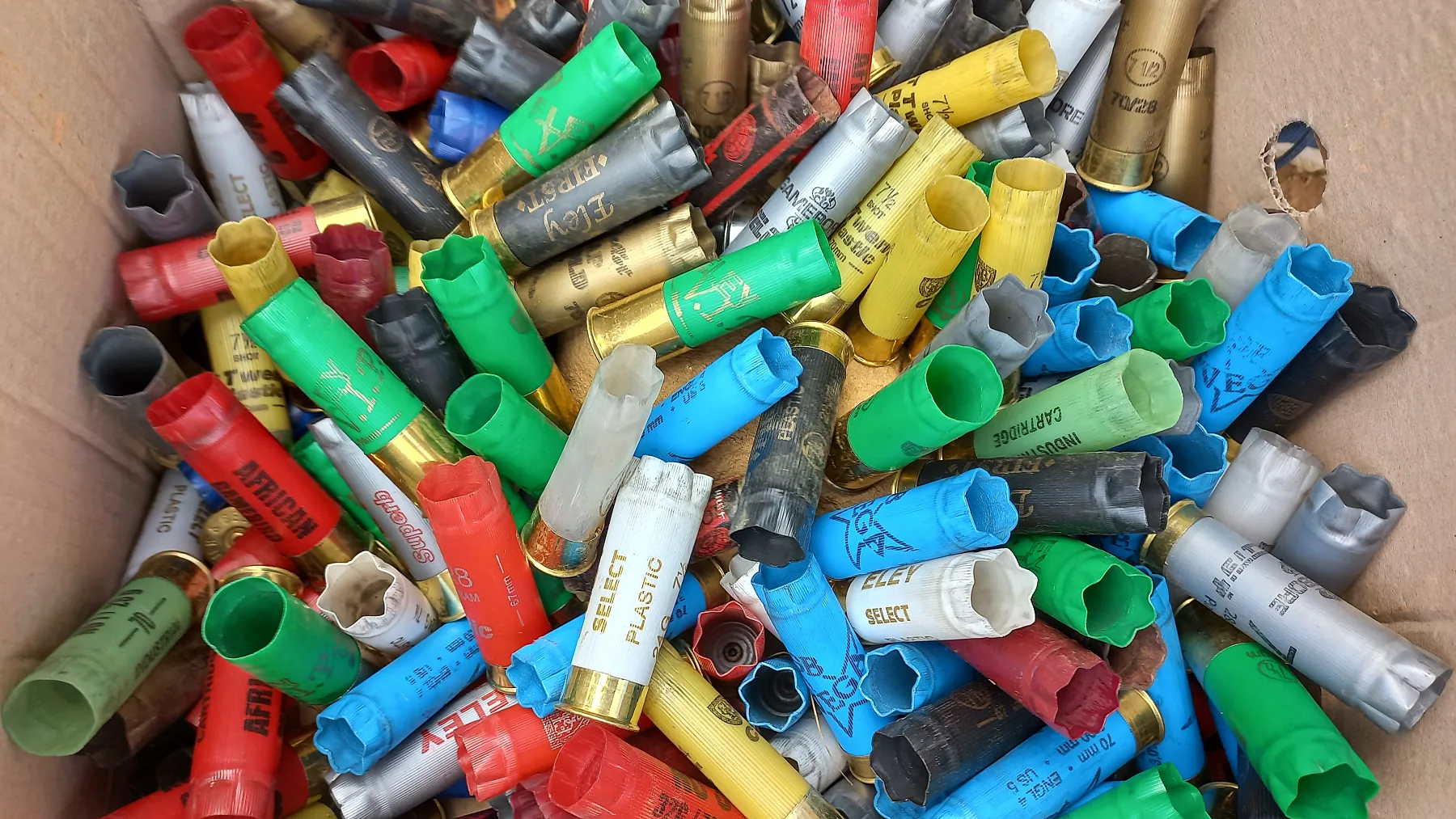 Cartridges ready on the bench
